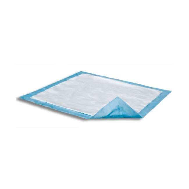 Underpads  Dri Sorb Light Absorbency Underpad   17  X 24 