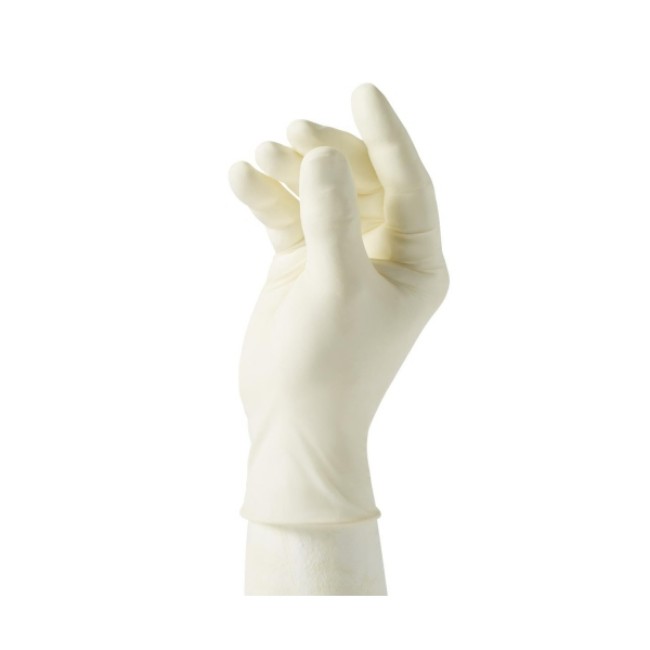 Gloves  Curad Latex Exam Gloves   Size M