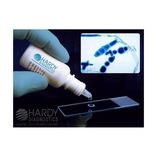 STAIN MICROBIOLOGY 10  POTASSIUM HYDROXIDE 15ML FOR SKIN FUNGAL PREPARATION