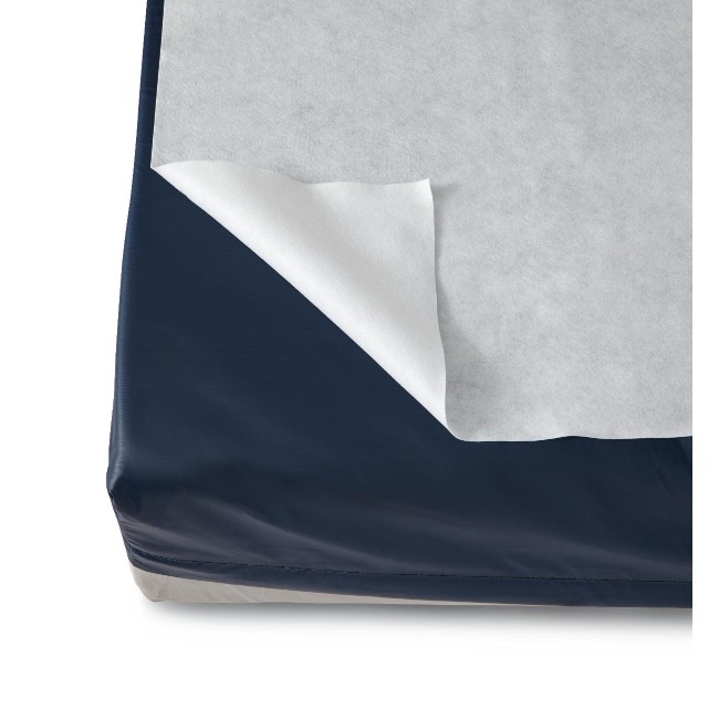 Sheet  Disp  Polyester  White  40X60   50Cs
