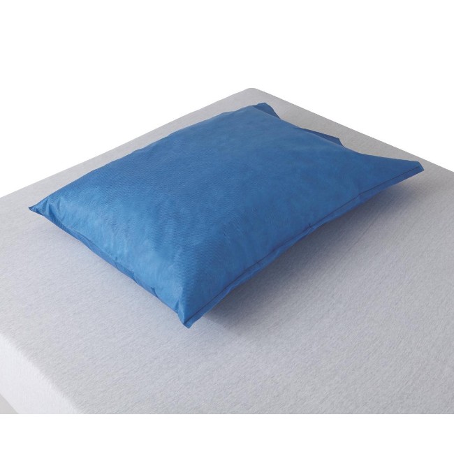 Pillowcase   Disp  Sms  Blue   20X29