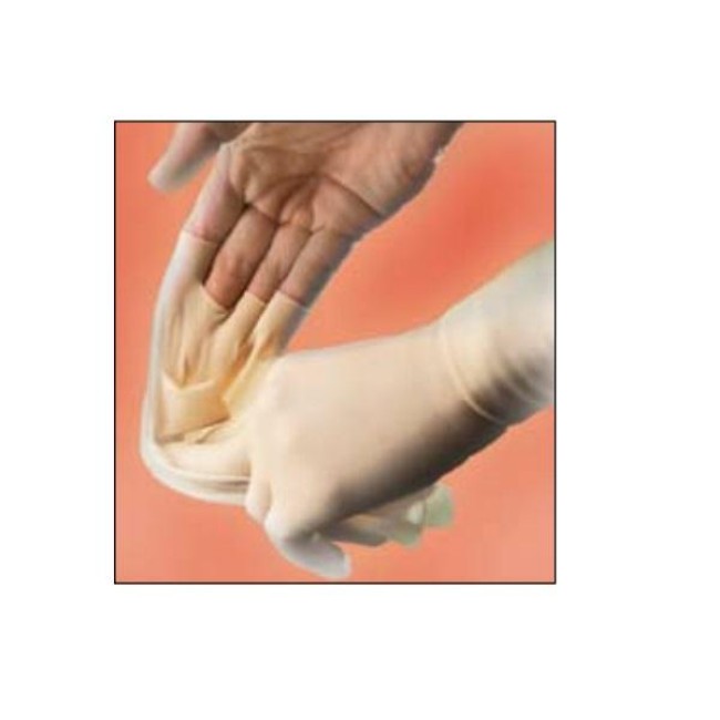 Glove  Surgical  Latex  Pf  6 5