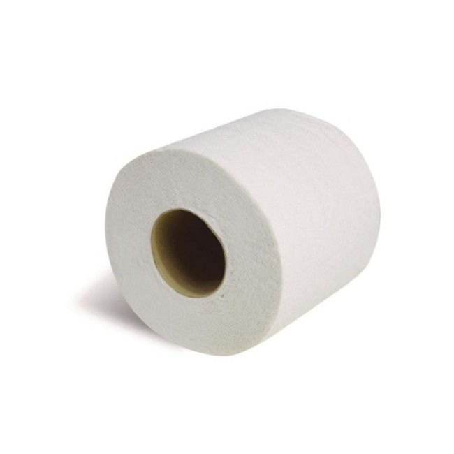 Toilet Tissue  Standard 2 Ply Toilet Paper   4  X 4 