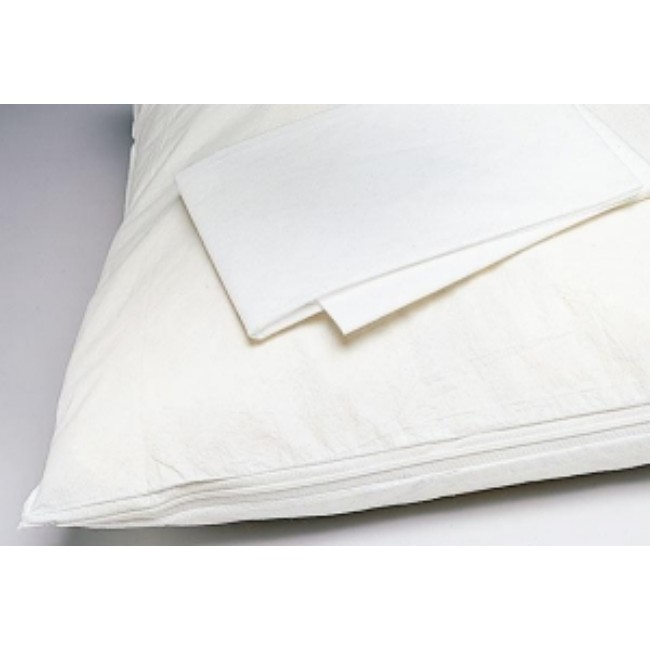 Protector Pillow Disp Flap 20Inx25in