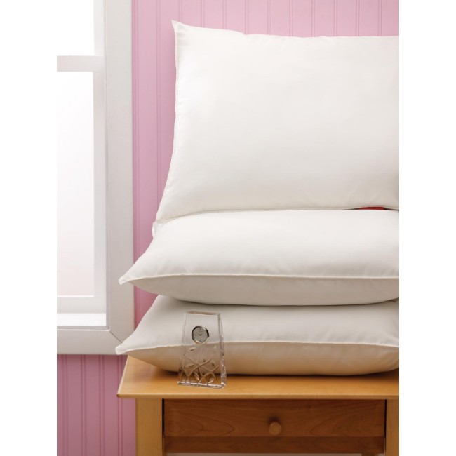 Pillow  Velvet Soft  20X26  12Ea Cs