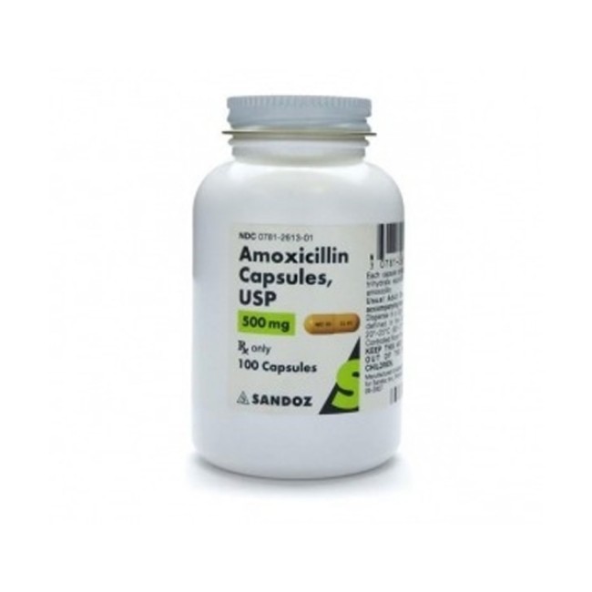 Amoxicillin  Amoxicillin   500 Mg Capsule   100 Bottle