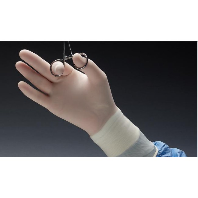Gloves  Micro Surgical Gloves   Polyisoprene   Size 6 5