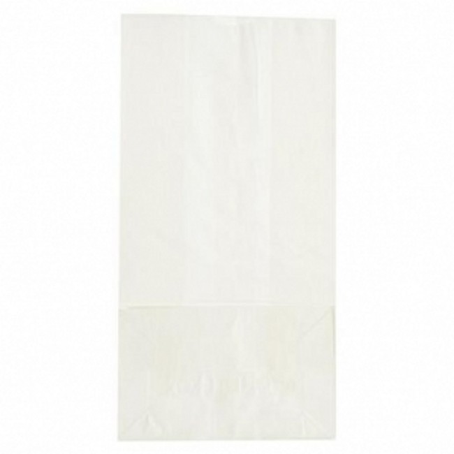 Bag  Paper  4  White  Grocery
