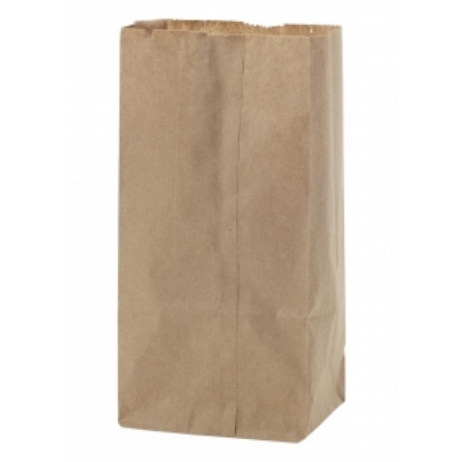 Bag  Paper  Brown   Kraft 2 