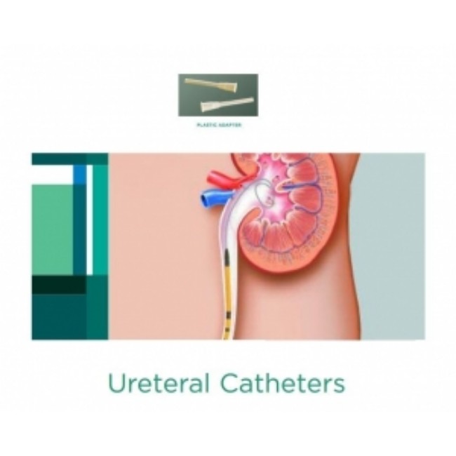 Adapter  Catheter  Ureteral  Plastic