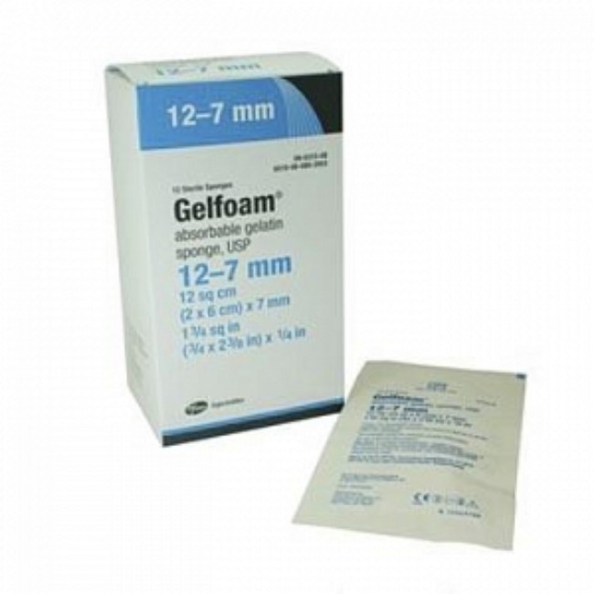Gelfoam Size 100 Spg 6