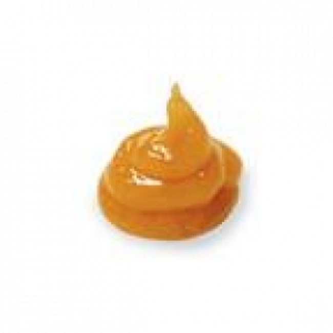 Dressing   Paste Wound   Medihoney   0 5 Oz