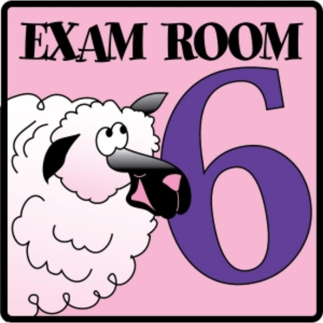 Sign  Pediatric Animals  Exam Room 6