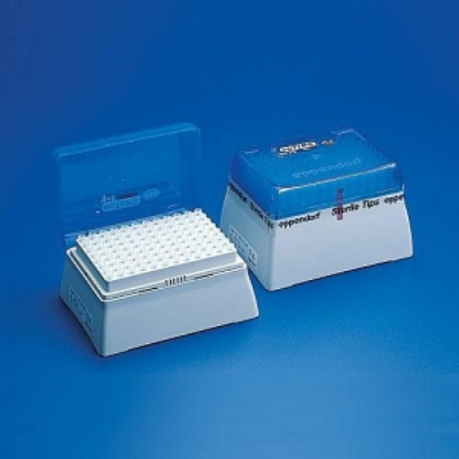 Tips  Pipette  Ep Dualfilter Tips 1000Ul  9