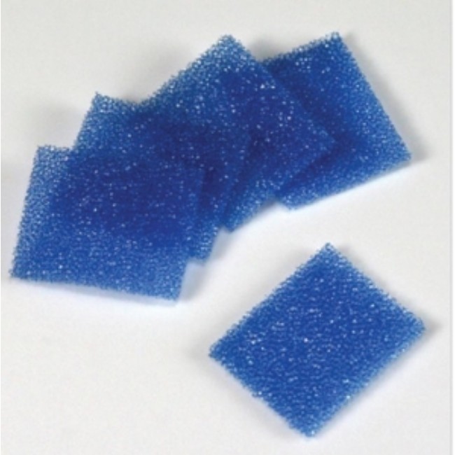 Biopsy Foam Pad   Blue