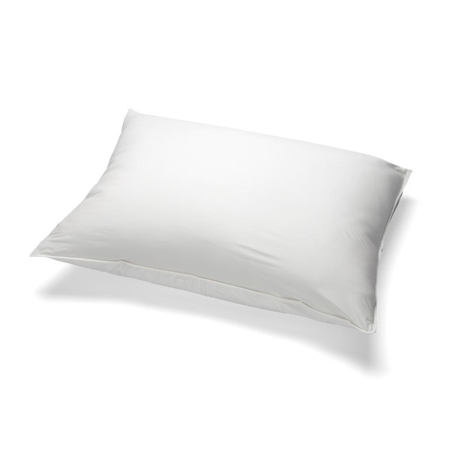 Encasement  Pillow  Frostlite  Zip  21X27