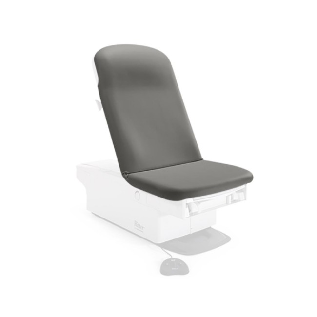 Exam Chairs  Ritter 224 225 Exam Chair Upholstery Top   28   Seamless   Lunar Gray