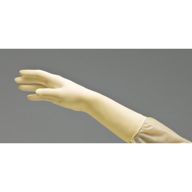 Gloves  Surgical Powder Free Latex Glove   Sterile   Size 6