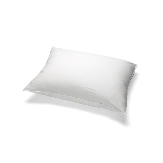 Covers  Frostlite Pillow Cover   Zipper Encasement   21  X 27 